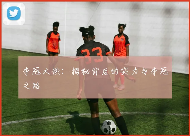 夺冠大热:揭秘背后的实力与夺冠之路